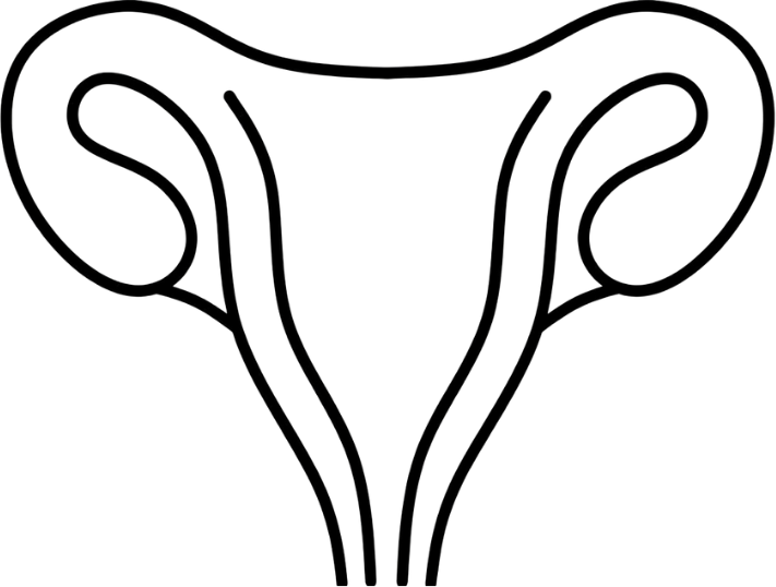 Symptothermale Methode